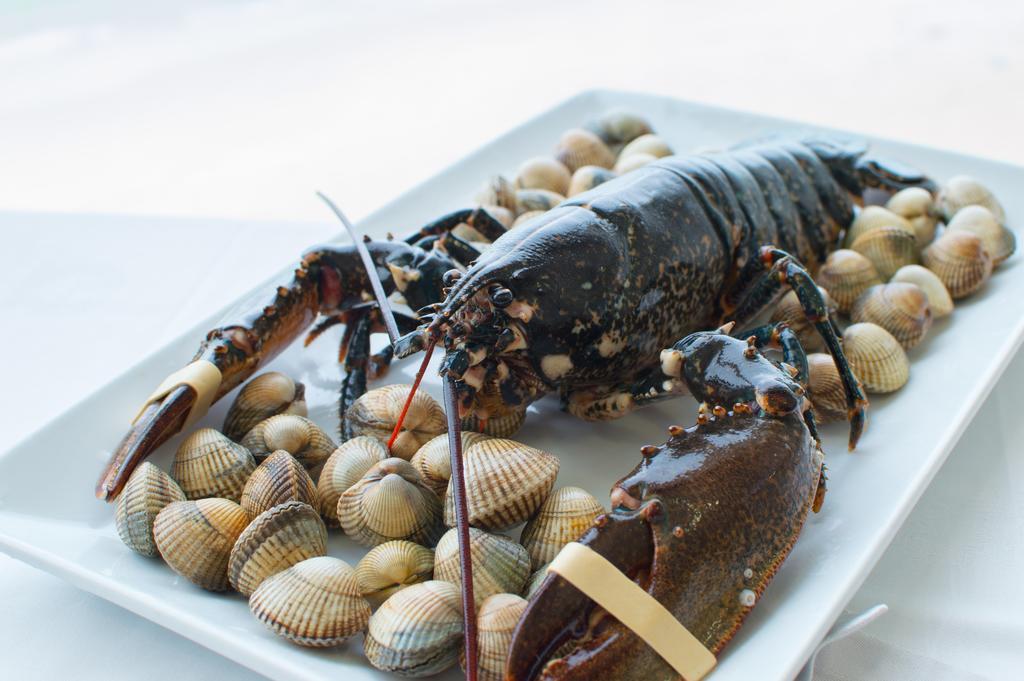 בואו Hotel Restaurante Loureiro מראה חיצוני תמונה