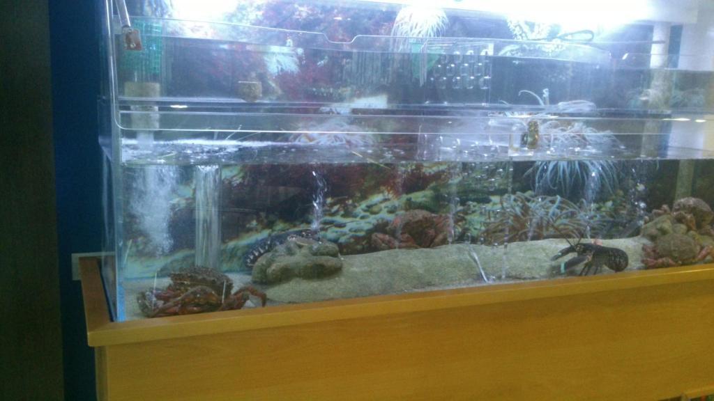 בואו Hotel Restaurante Loureiro מראה חיצוני תמונה
